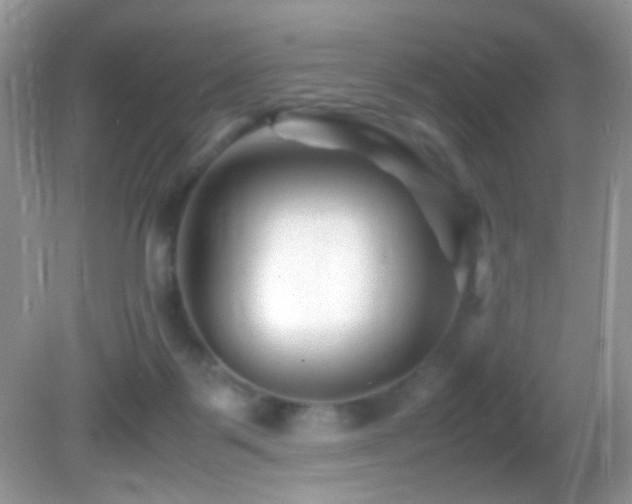 X0000082750123200701261517