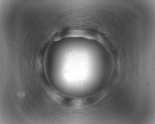 X0000082750131200701261517
