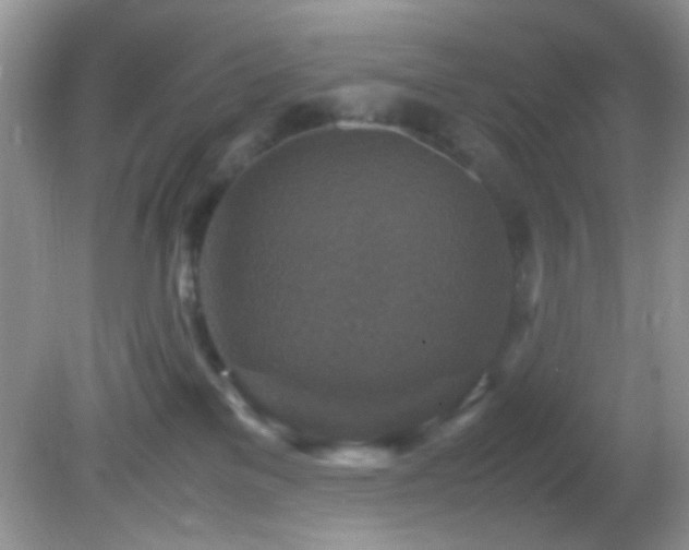 X0000082750137200701261517