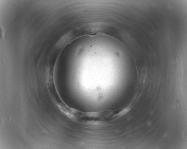 X0000082750140200701261517