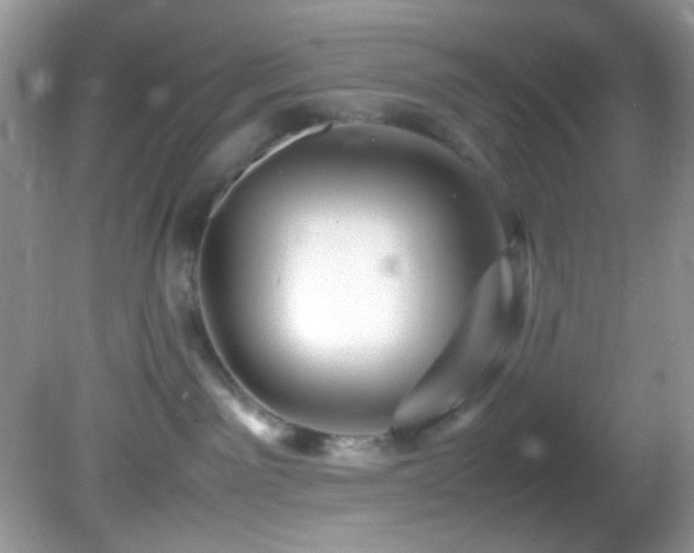 X0000082750141200701261517