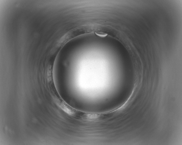 X0000082750144200701261517