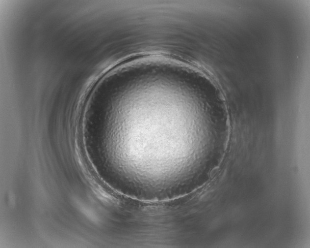 X0000082750145200701261516
