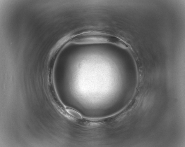 X0000082750149200701261516