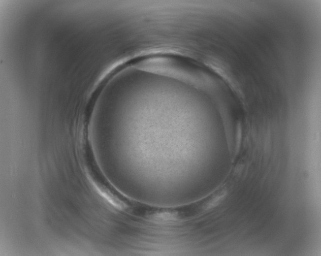 X0000082750156200701261516