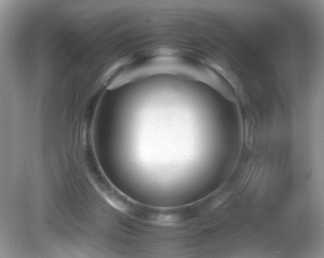 X0000082750157200701261516