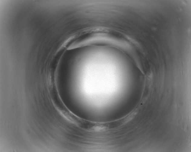 X0000082750158200701261516