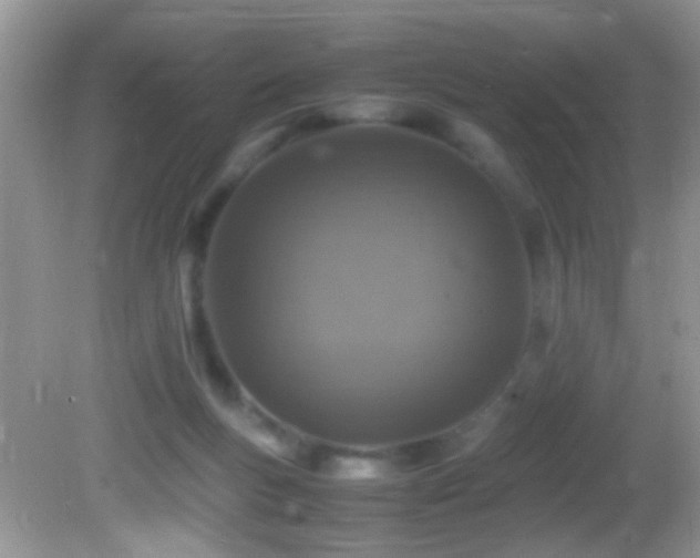 X0000082750167200701261516