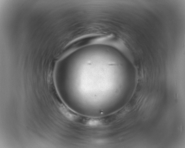 X0000082750177200701261516