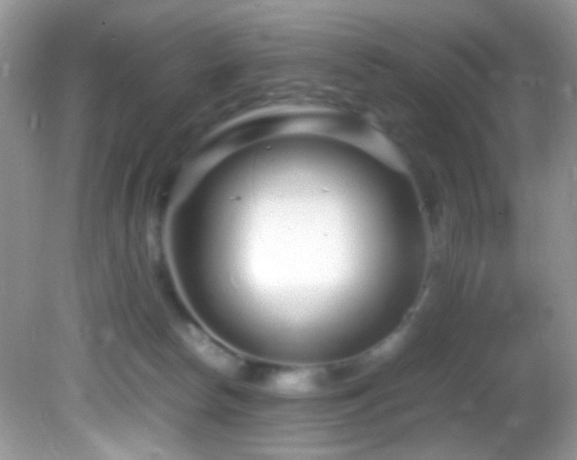 X0000082750178200701261516