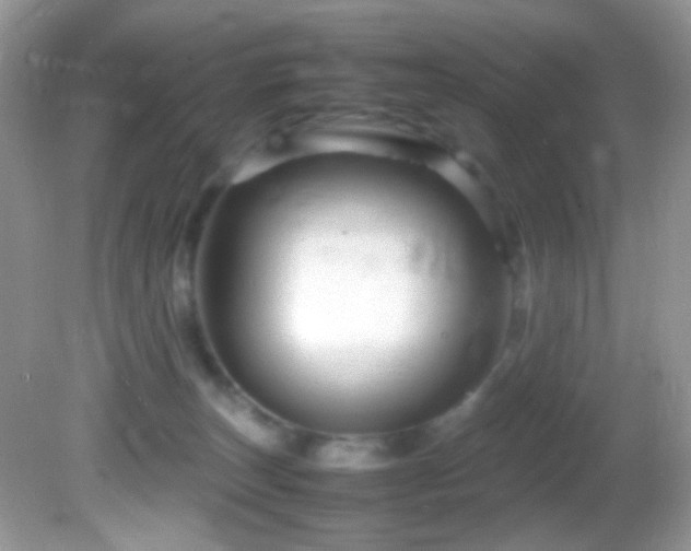 X0000082750179200701261516