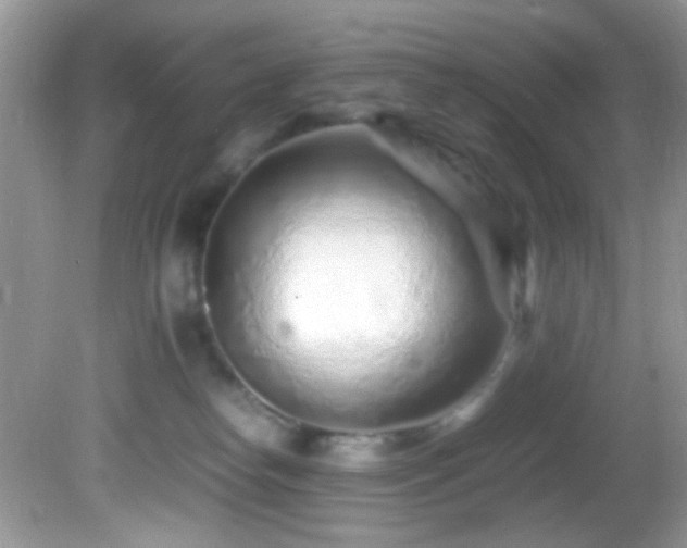 X0000082750182200701261516