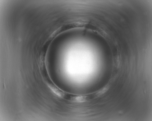 X0000082750184200701261516