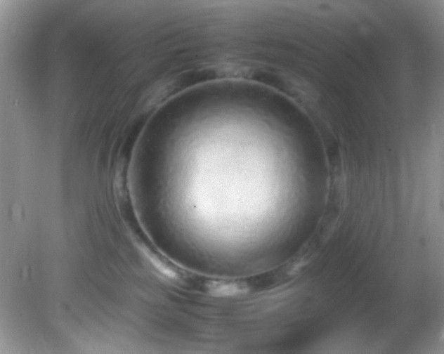 X0000082750185200701261517