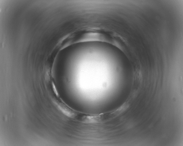X0000082750188200701261517