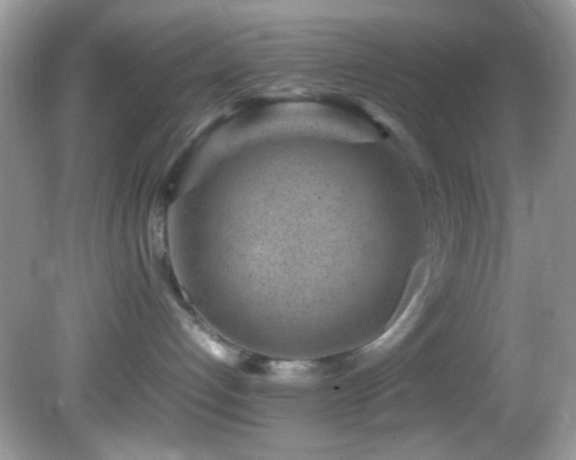 X0000082750192200701261517