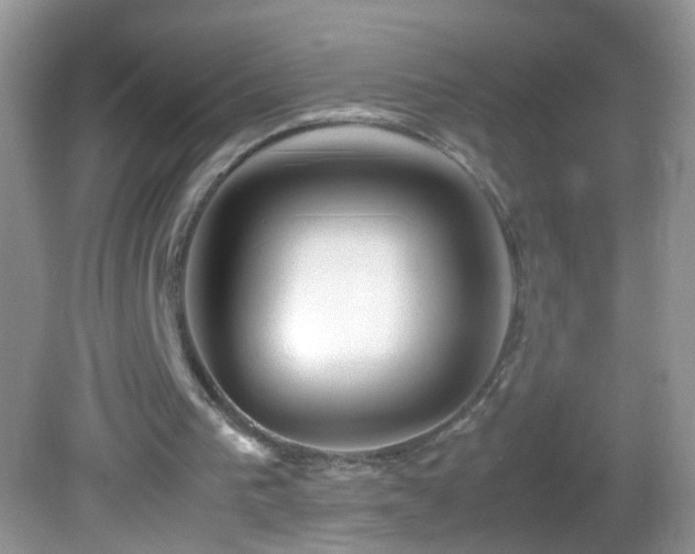 X0000082750193200701261516