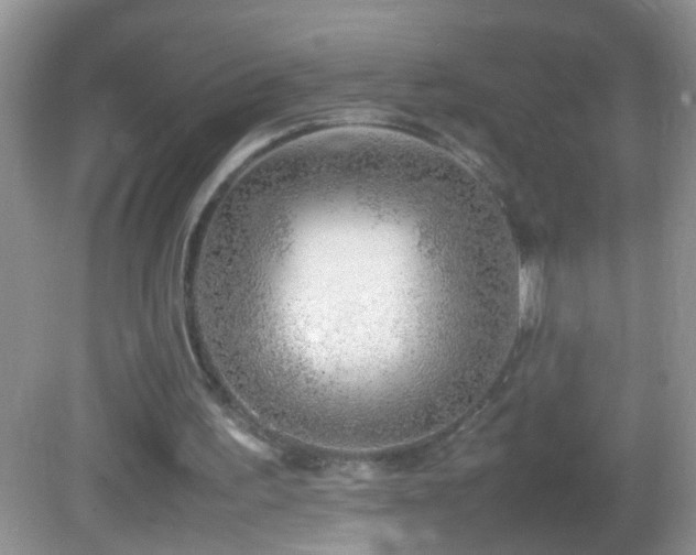X0000082750195200701261516