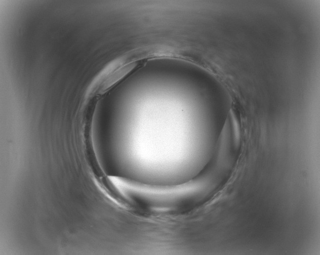 X0000082750197200701261516