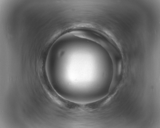 X0000082750201200701261516