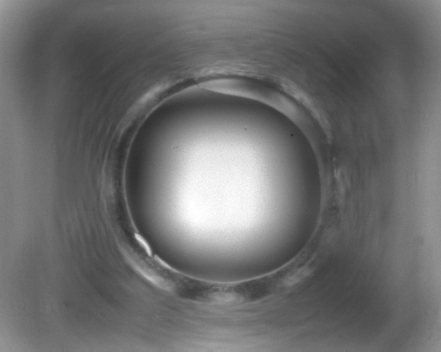 X0000082750203200701261516