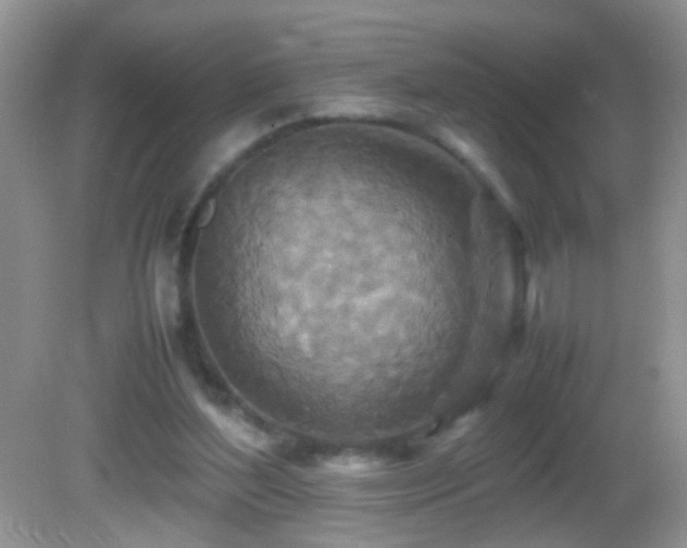 X0000082750204200701261516