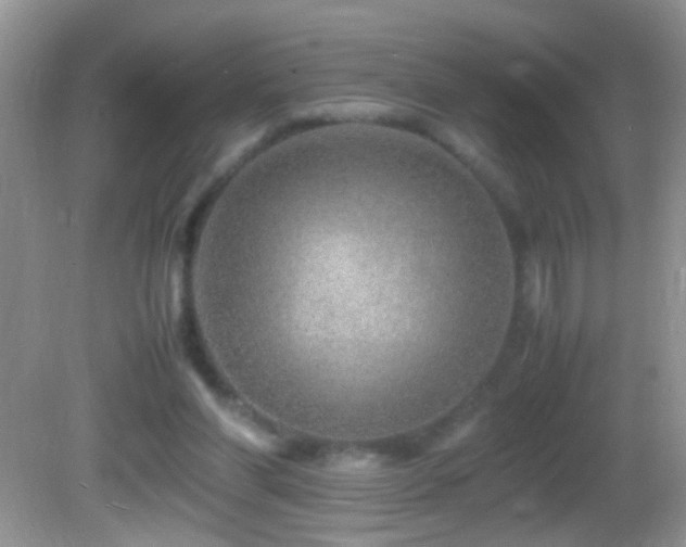 X0000082750206200701261516