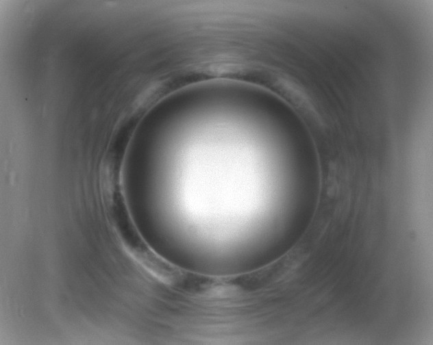 X0000082750210200701261516