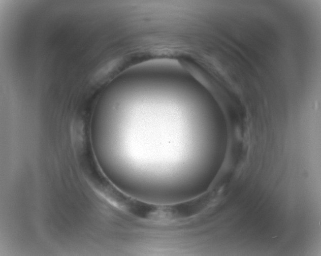 X0000082750211200701261516