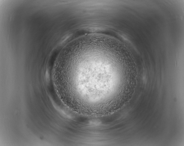 X0000082750214200701261515