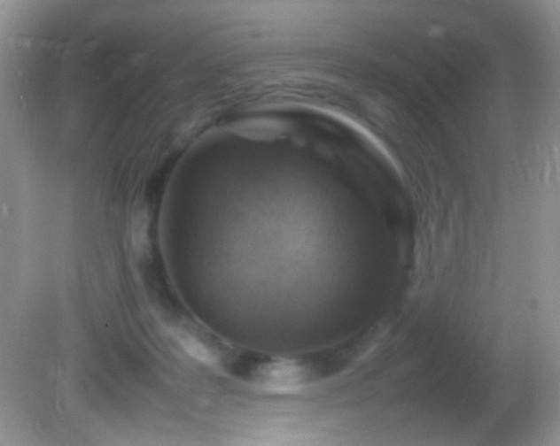 X0000082750219200701261515