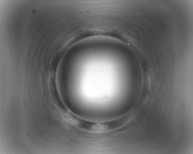 X0000082750225200701261515