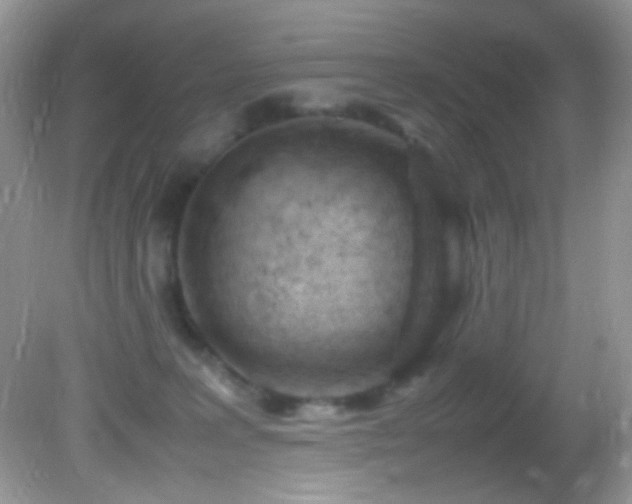 X0000082750227200701261515