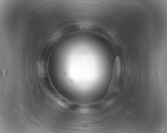 X0000082750228200701261515