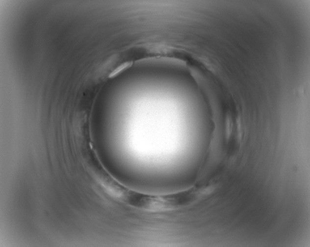 X0000082750229200701261515