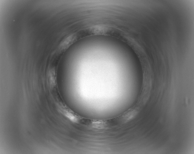 X0000082750240200701261515