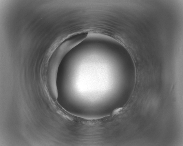 X0000082750241200701261514