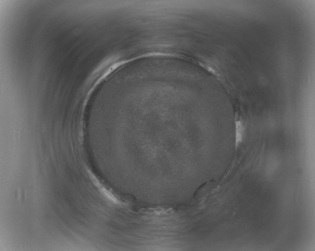 X0000082750243200701261514