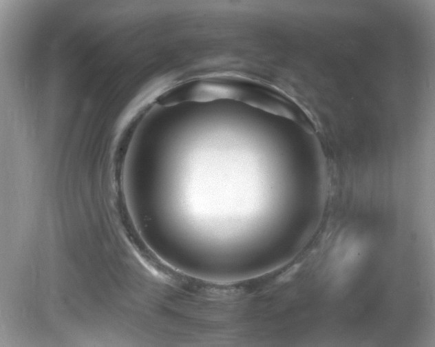 X0000082750245200701261514