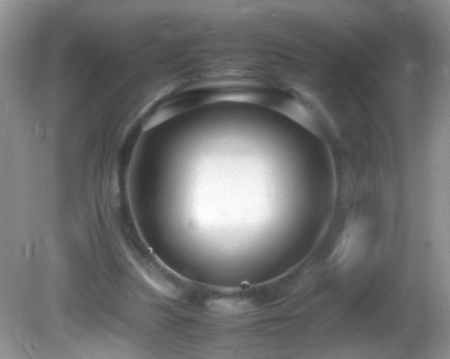 X0000082750251200701261514