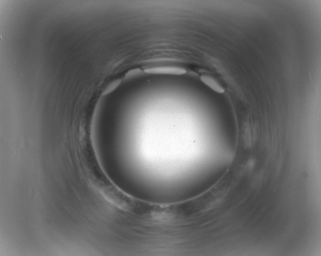 X0000082750259200701261515