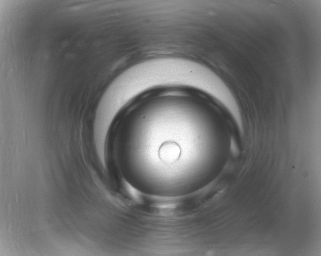X0000082750264200701261515