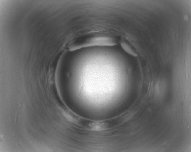 X0000082750273200701261515