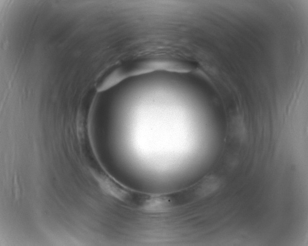 X0000082750274200701261515