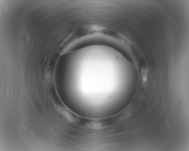 X0000082750276200701261515