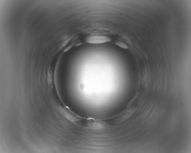 X0000082750282200701261515