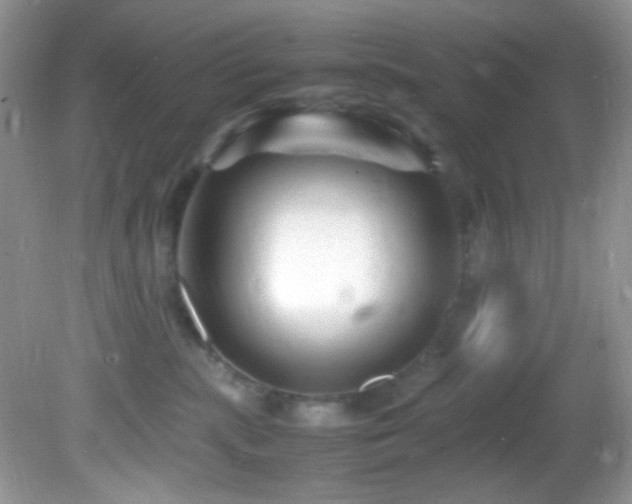 X0000082750283200701261515