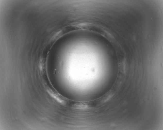 X0000082750284200701261515