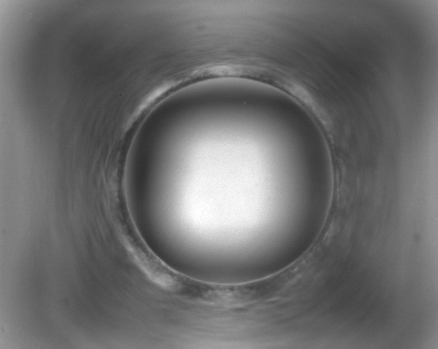 X0000082750297200701261514