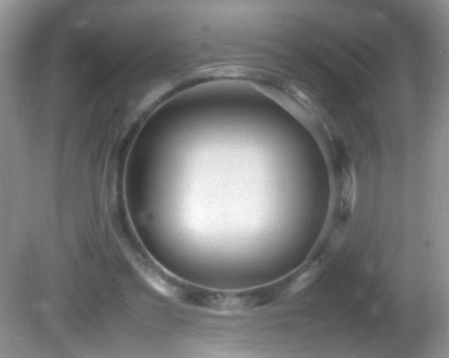 X0000082750301200701261514